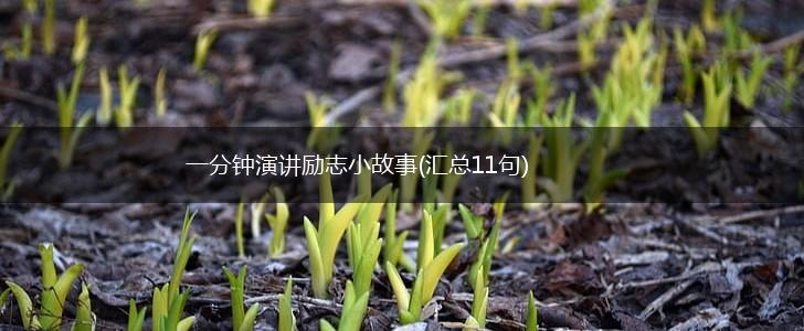 一分钟演讲励志小故事(汇总11句),第1张