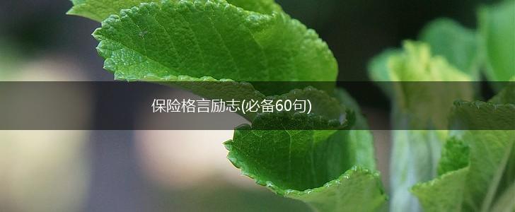 保险格言励志(必备60句),第1张