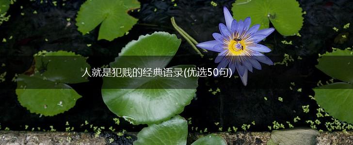 人就是犯贱的经典语录(优选50句),第1张