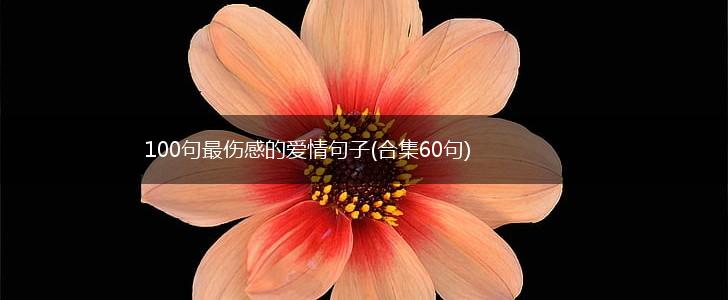100句最伤感的爱情句子(合集60句),第1张