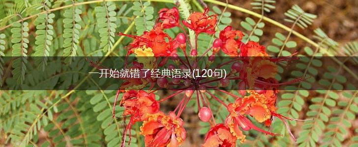 一开始就错了经典语录(120句),第1张