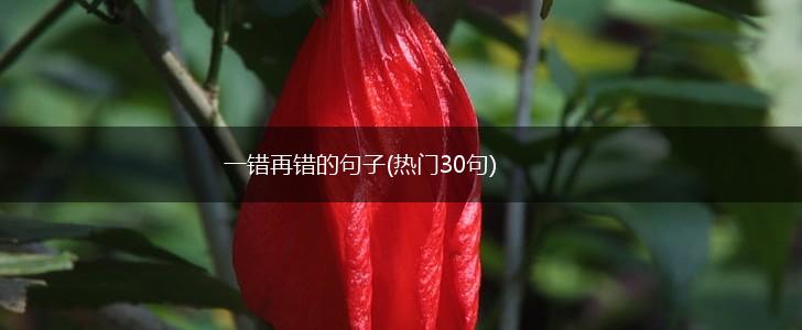 一错再错的句子(热门30句),第1张