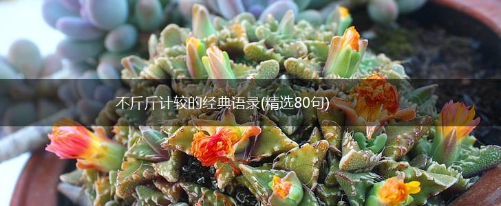 不斤斤计较的经典语录(精选80句),第1张