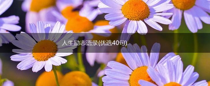 人生励志语录(优选40句),第1张