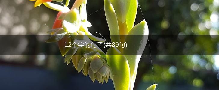 12个字的句子(共89句),第1张