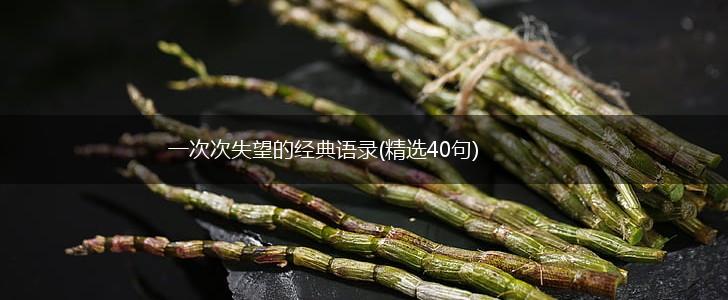 一次次失望的经典语录(精选40句),第1张