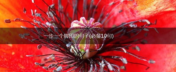 一步一个脚印的句子(必备10句),第1张