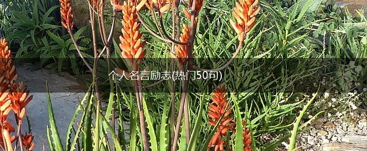 个人名言励志(热门50句),第1张