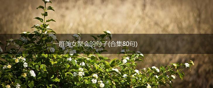 一群美女聚会的句子(合集80句),第1张