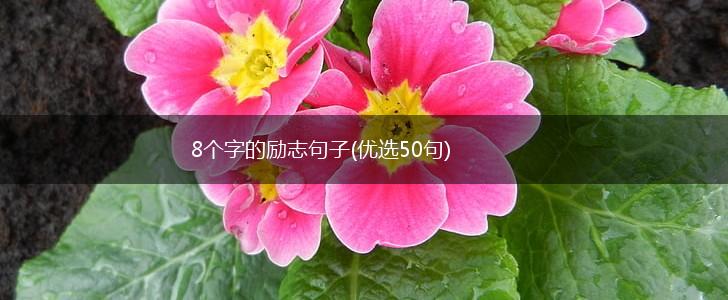 8个字的励志句子(优选50句),第1张