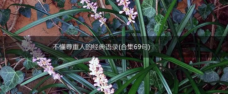 不懂尊重人的经典语录(合集69句),第1张