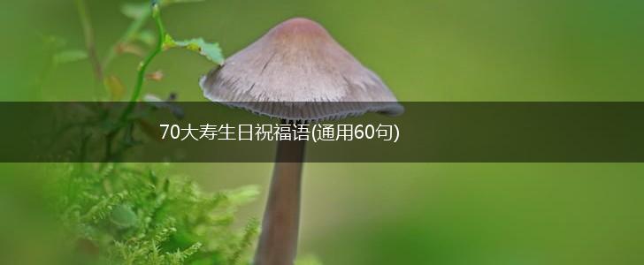 70大寿生日祝福语(通用60句),第1张