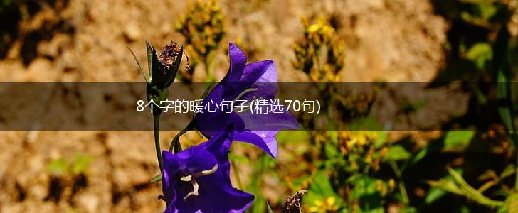 8个字的暖心句子(精选70句),第1张