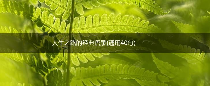 人生之路的经典语录(通用40句),第1张