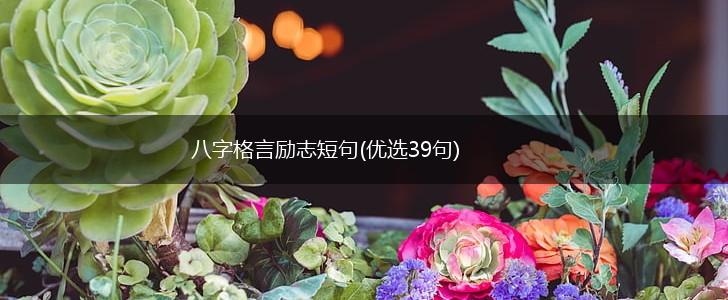 八字格言励志短句(优选39句),第1张