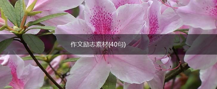 作文励志素材(40句),第1张