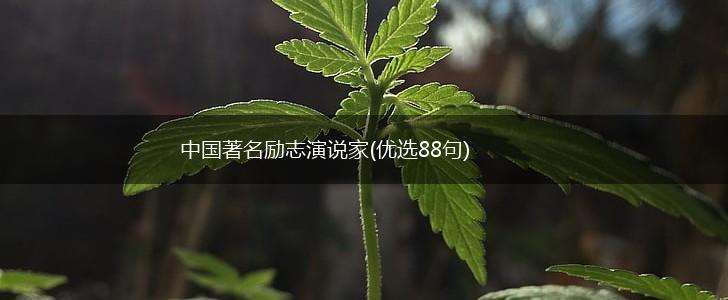 中国著名励志演说家(优选88句),第1张