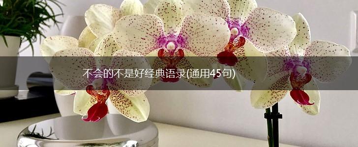 不会的不是好经典语录(通用45句),第1张
