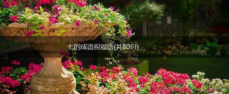 七的成语祝福语(共80句),第1张