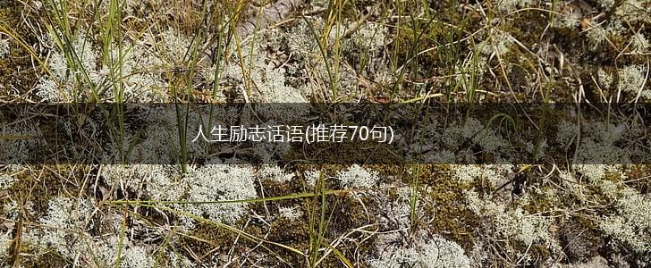 人生励志话语(推荐70句),第1张