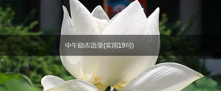 中午励志语录(实用19句),第1张