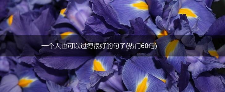 一个人也可以过得很好的句子(热门60句),第1张