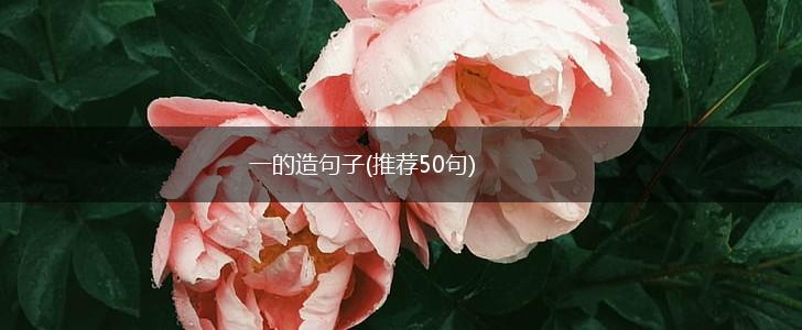 一的造句子(推荐50句),第1张