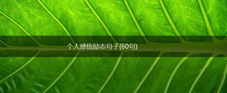个人感悟励志句子(60句),第1张