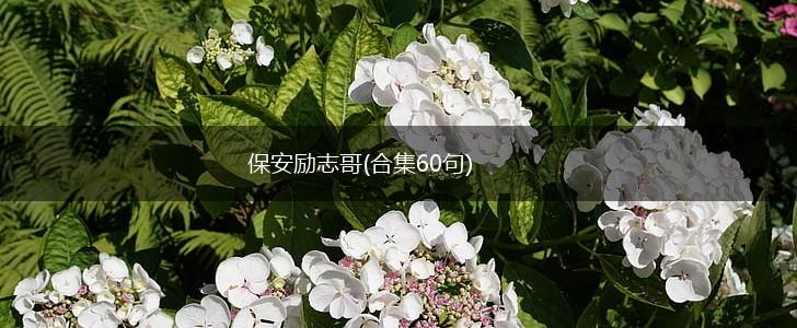 保安励志哥(合集60句),第1张