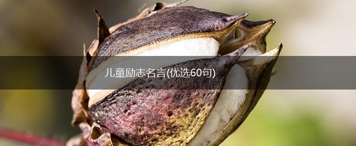 儿童励志名言(优选60句),第1张