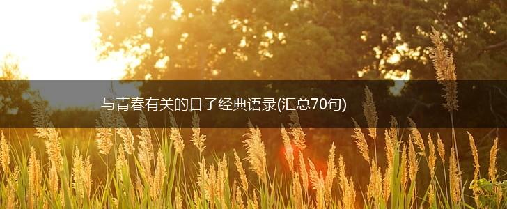 与青春有关的日子经典语录(汇总70句),第1张