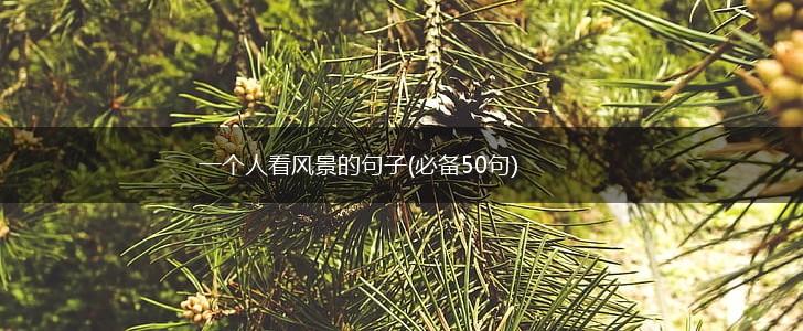一个人看风景的句子(必备50句),第1张