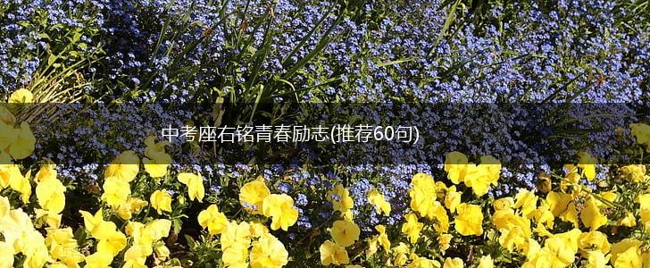 中考座右铭青春励志(推荐60句),第1张