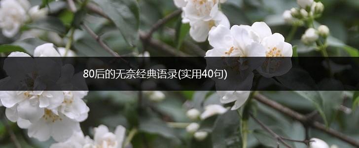 80后的无奈经典语录(实用40句),第1张