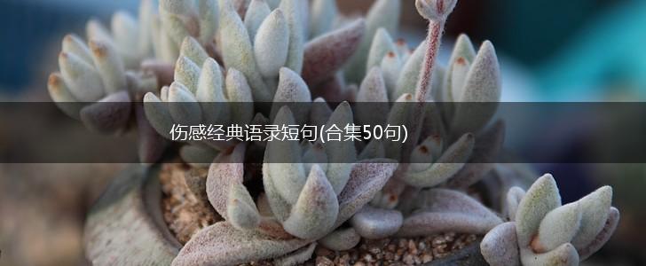 伤感经典语录短句(合集50句),第1张