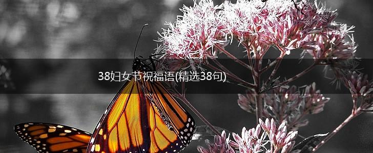 38妇女节祝福语(精选38句),第1张