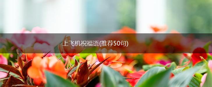 上飞机祝福语(推荐50句),第1张