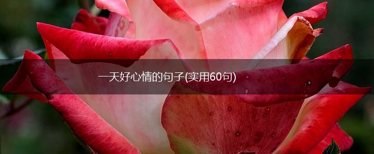 一天好心情的句子(实用60句),第1张