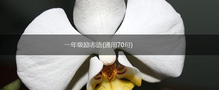 一年级励志语(通用70句),第1张