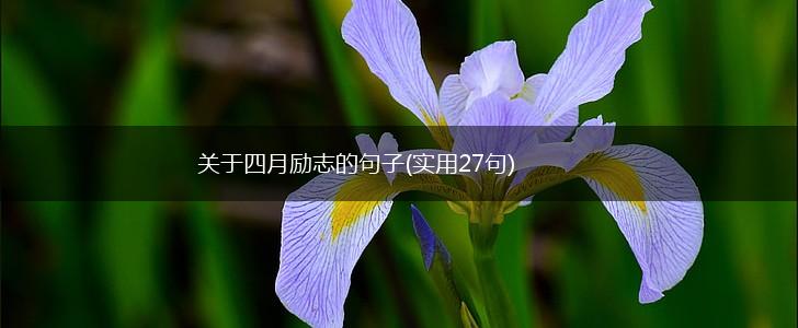 关于四月励志的句子(实用27句),第1张