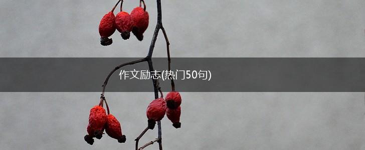 作文励志(热门50句),第1张