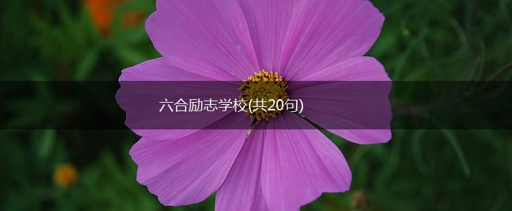 六合励志学校(共20句),第1张