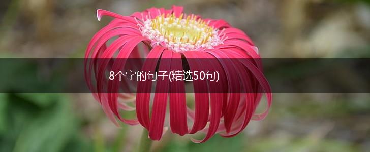 8个字的句子(精选50句),第1张