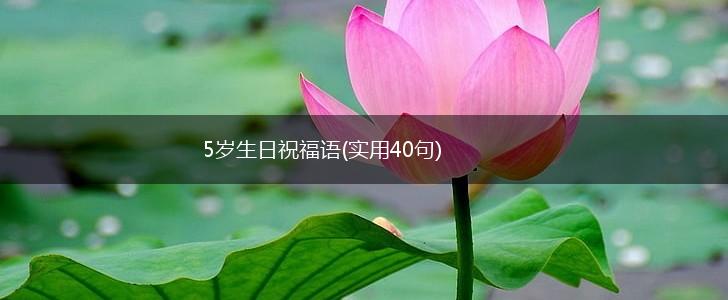 5岁生日祝福语(实用40句),第1张