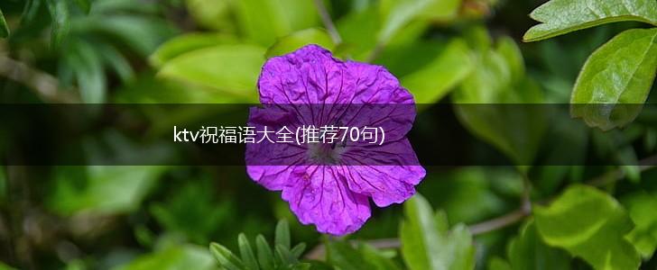 ktv祝福语大全(推荐70句),第1张