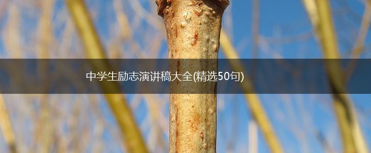 中学生励志演讲稿大全(精选50句),第1张