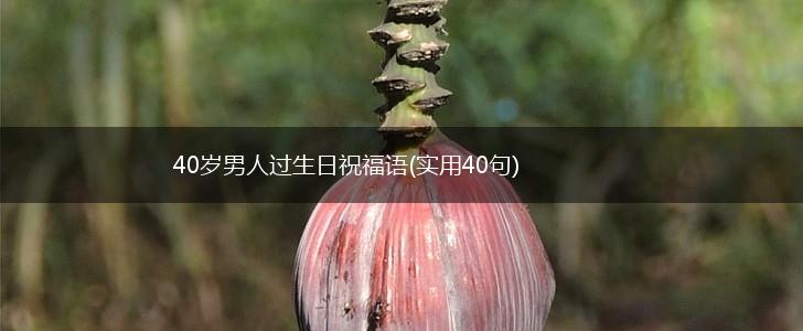 40岁男人过生日祝福语(实用40句),第1张