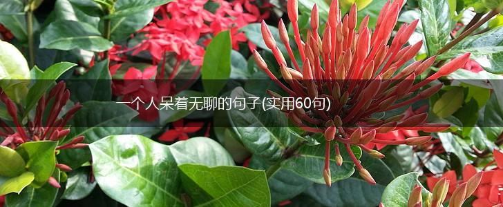 一个人呆着无聊的句子(实用60句),第1张