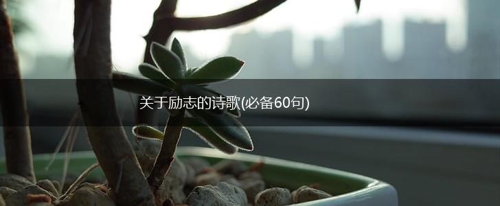 关于励志的诗歌(必备60句),第1张