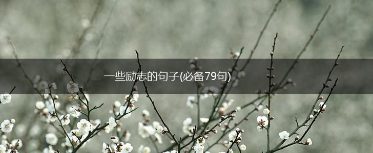 一些励志的句子(必备79句),第1张